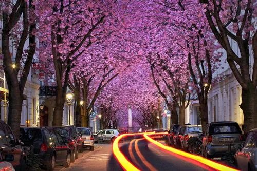 安暖傅之珩相思不知愁滋味最新章节小说阅读