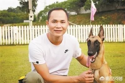 训狗师这个工作怎么样?