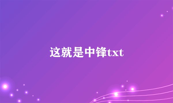 这就是中锋txt