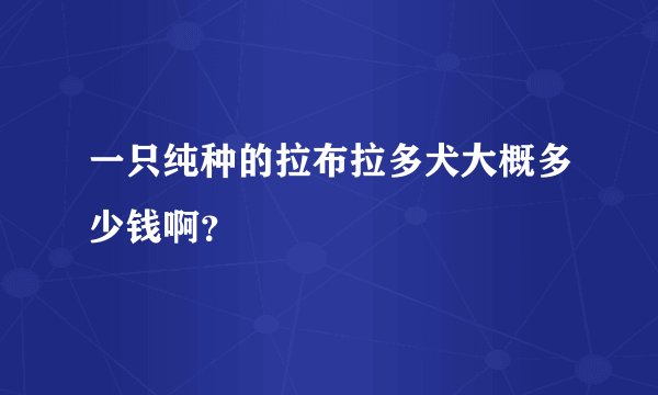 一只纯种的拉布拉多犬大概多少钱啊？