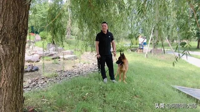 训狗师这个工作怎么样?