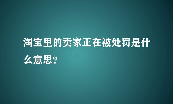 淘宝里的卖家正在被处罚是什么意思？