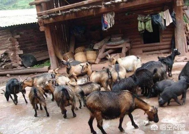 你认为中央电视台的《致富经》能让人致富吗？