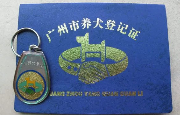 广州养狗需要什么