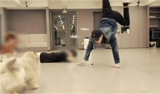 张艺兴倒立训狗：这画面怪不得都在羡慕狗狗了