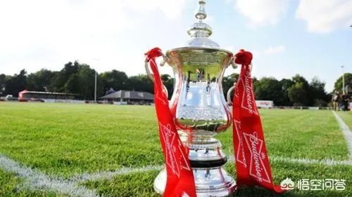 怎样看待足总杯是“保温杯”？