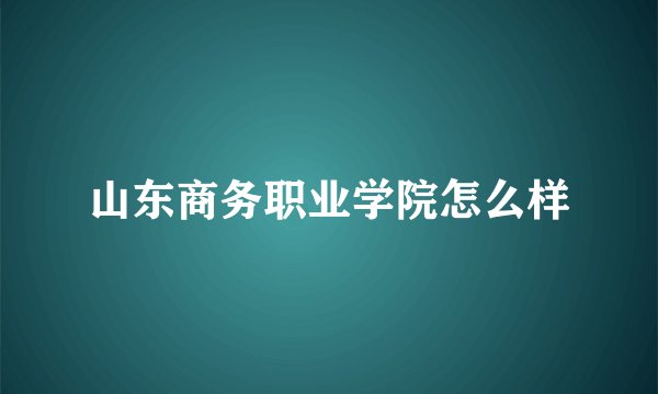 山东商务职业学院怎么样