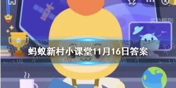 晚秋黄梨蚂蚁新村 初次挂果是在第五年还是第二年