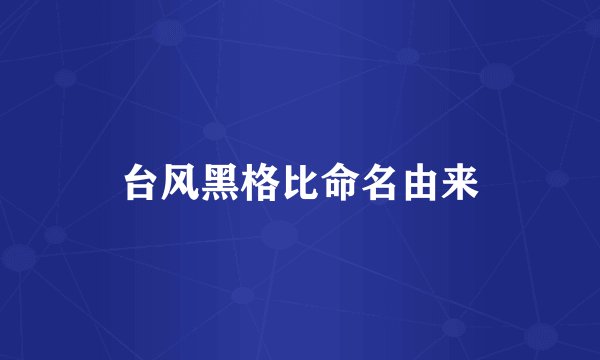 台风黑格比命名由来