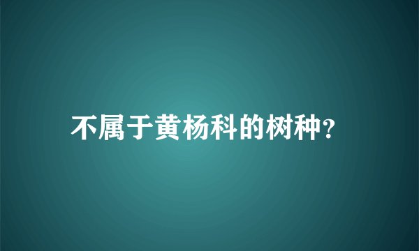 不属于黄杨科的树种？