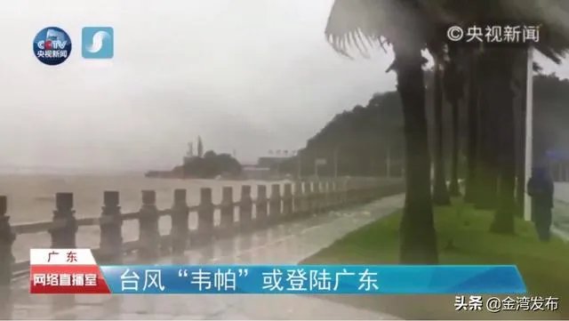 请问现在台风韦帕已经生成，关于这个台风你了解多少，又有什么想说的？