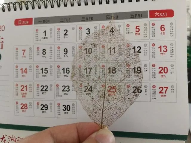 衡阳的南华大学,你觉得怎样?