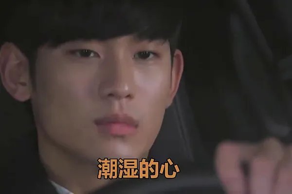 《潮湿的心》歌词是什么意思？