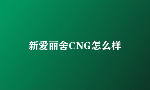 新爱丽舍CNG怎么样