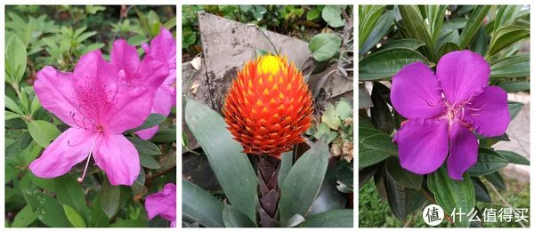 离完美只差一步：MI 小米 红米Note5 智能手机 体验评测（含高通骁龙636性能测试）