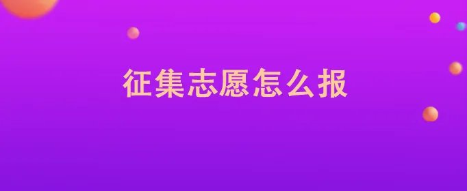 征集志愿怎么报