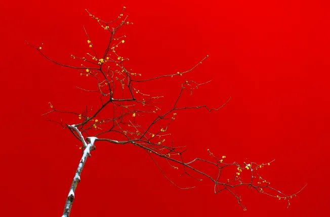 2021年立春的具体时间 2021立春是哪一天几点