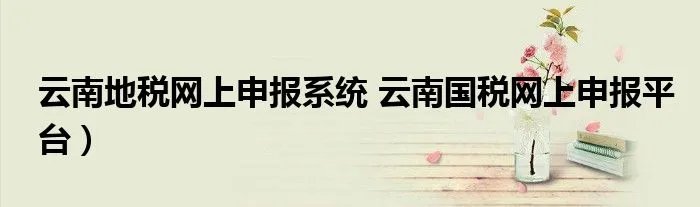 云南地税网上申报系统 云南国税网上申报平台）