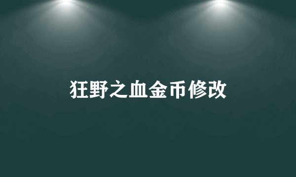 狂野之血金币修改
