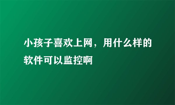 小孩子喜欢上网，用什么样的软件可以监控啊