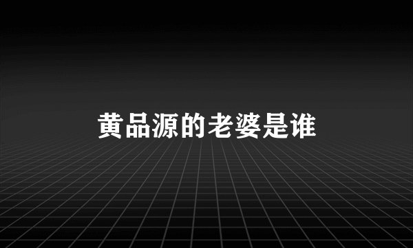 黄品源的老婆是谁