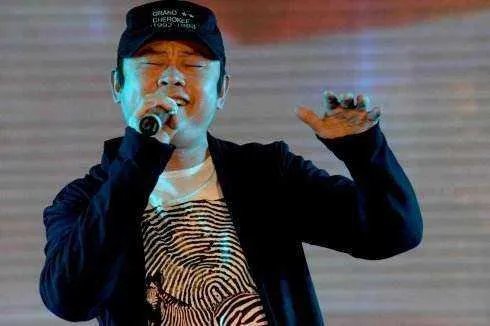 南归的候鸟飞的那么远歌名