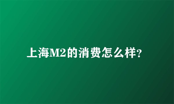 上海M2的消费怎么样？