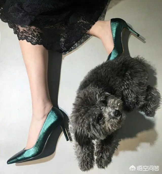 能推荐一些淘宝上有风格的女鞋吗？