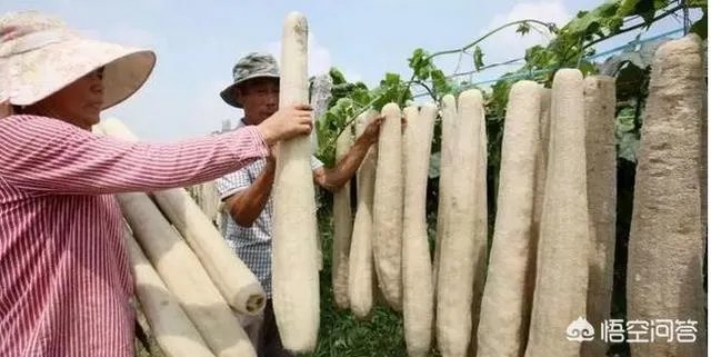 你们用过什么不为人知但是非常实用有趣的小东西？