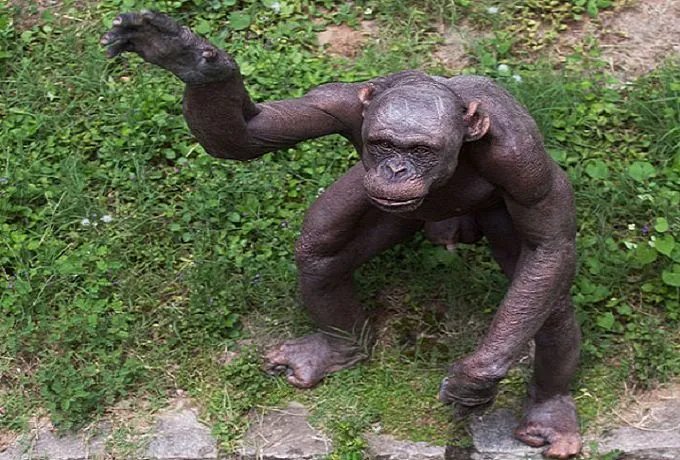 “物竞天择．适者生存”是什么意思