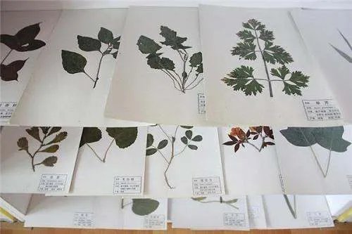 厦门大学给物理学新生送钻戒，还有哪些大学也这么“豪”？