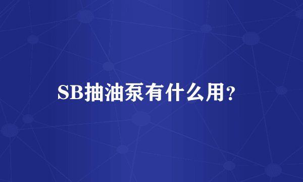 SB抽油泵有什么用？