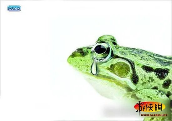 超级内涵的杜蕾斯创意广告合集 你能看懂么？