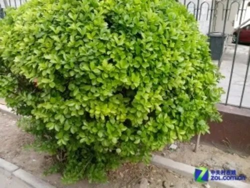 W+G双卡+2000mAh电池 1GHz联想A750评测