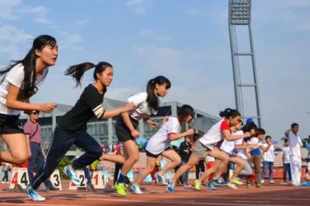 成都文理学院蓝皮书内容