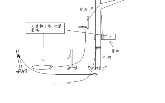 荒野求生设陷阱抓野猪的是哪一集
