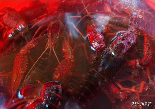 怎样才能吃到最优质的小龙虾？