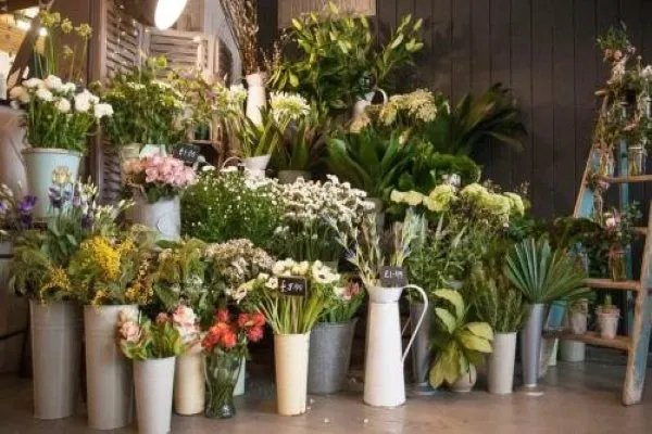 深圳宝安哪里有鲜花店？