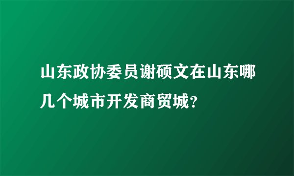 山东政协委员谢硕文在山东哪几个城市开发商贸城？