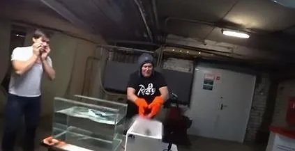 男子把鱼放干冰冷冻 奇迹出现了（图）