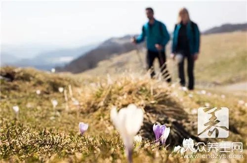 爬山对膝盖有损伤吗
