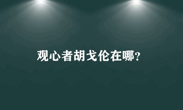 观心者胡戈伦在哪？