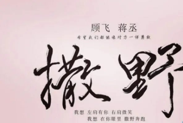 《撒野》为什么会受欢迎 小说主要讲述了什么故事