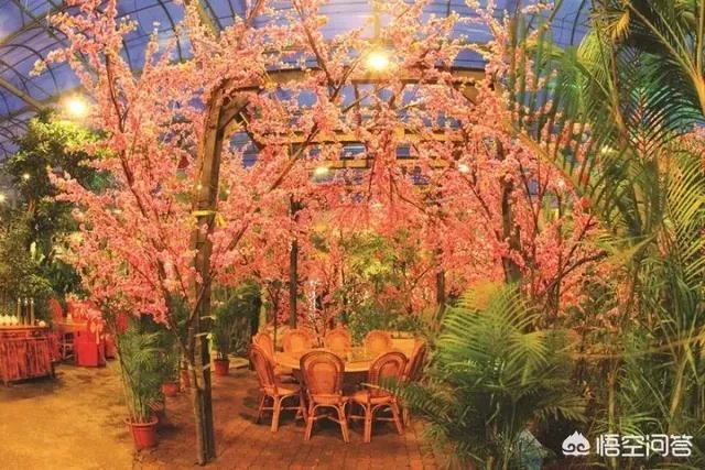 如何打造生态休闲农业园项目?