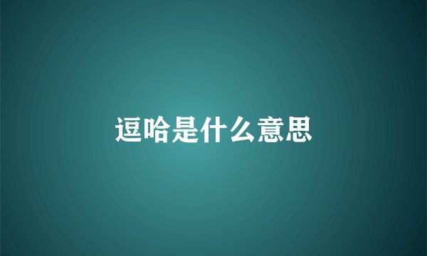 逗哈是什么意思