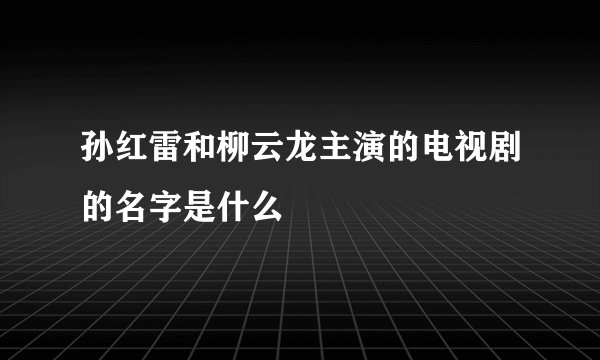 孙红雷和柳云龙主演的电视剧的名字是什么