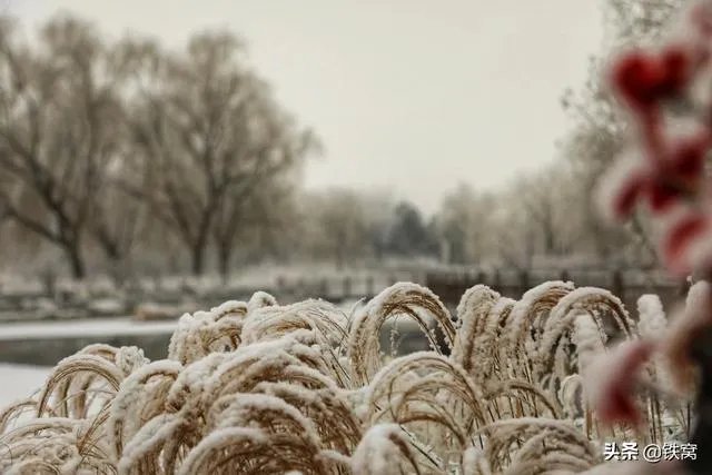 冬天国内旅游去哪些地方好？