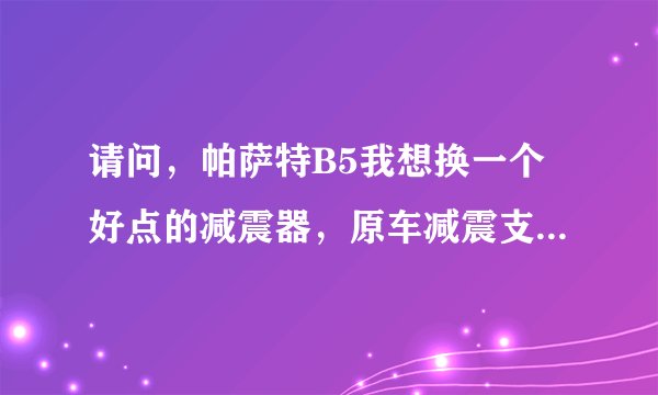请问，帕萨特B5我想换一个好点的减震器，原车减震支撑性太差，过弯倾斜太大，请帮忙推荐一下。