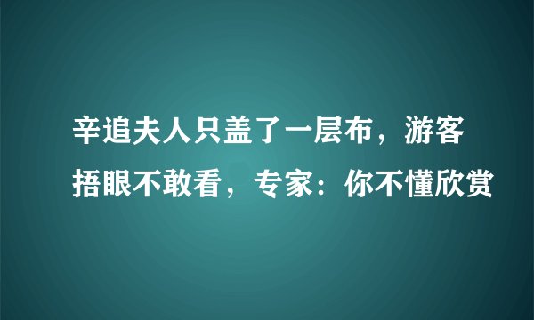 辛追夫人只盖了一层布，游客捂眼不敢看，专家：你不懂欣赏