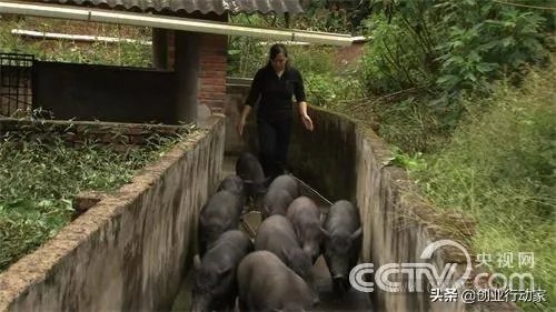 你认为中央电视台的《致富经》能让人致富吗？